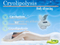 4 handles cavitation RF cryolipolysis slimming machine / fat freezing cryolipolysis / cryolipolysis machine