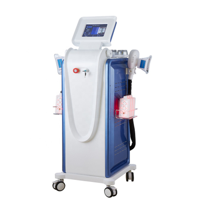 New product lipolaser cryolipolysis machine/vacuum cavitation system/rf skin tightening machine