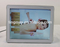 Visia skin analysis machine