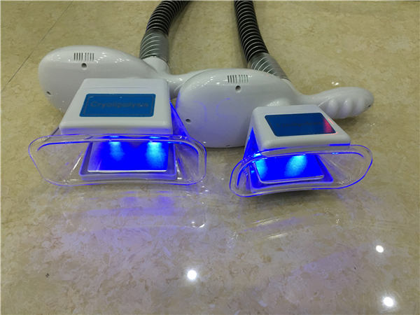 slimming fat freeze portable home use cryolipolysis venus freeze slimming machine / cryolipolysis fat freeze slimmer