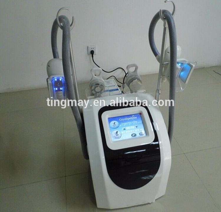 Cheap cryolipolisys machine / Frozen fat machine / criolipolisis for fat reduction