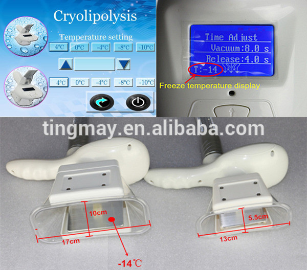 New Two Cryo handle vertical criolipolise cavitation rf slimming device