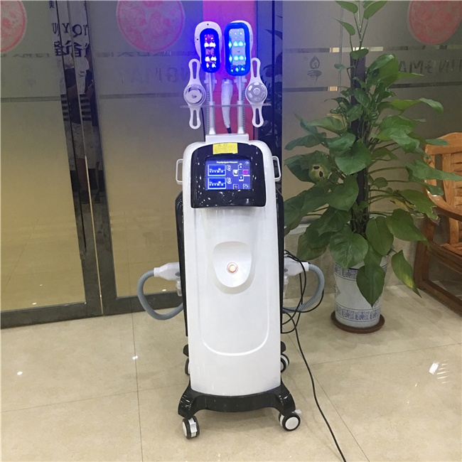 Professional Fat Freezing Fat Reduction Weight Loss body shaper Machine For Sale