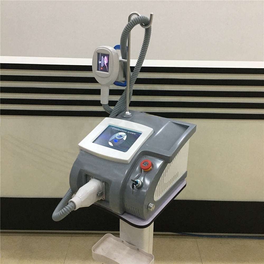 Tingmay factory 2019 new item portable fat freeze cryolipolisis machine with 2 changeable cryo handles