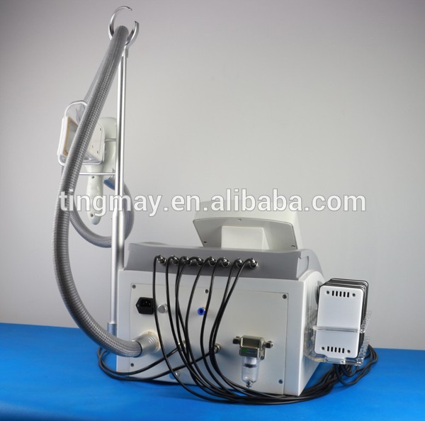 4in1 Cryolypolysis lipolaser slimming machine TM-908A