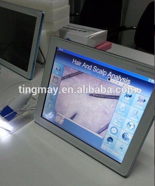hair and scalp analysis system