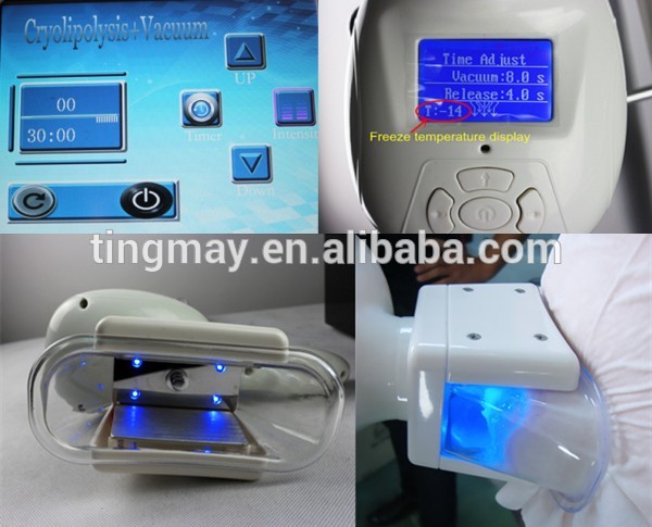 2019 newest cryolipolisis fat freeze slimming machine